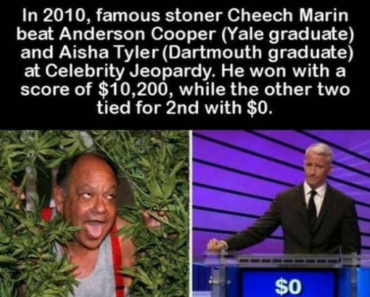 These Are Some Pretty Intriguing Facts…