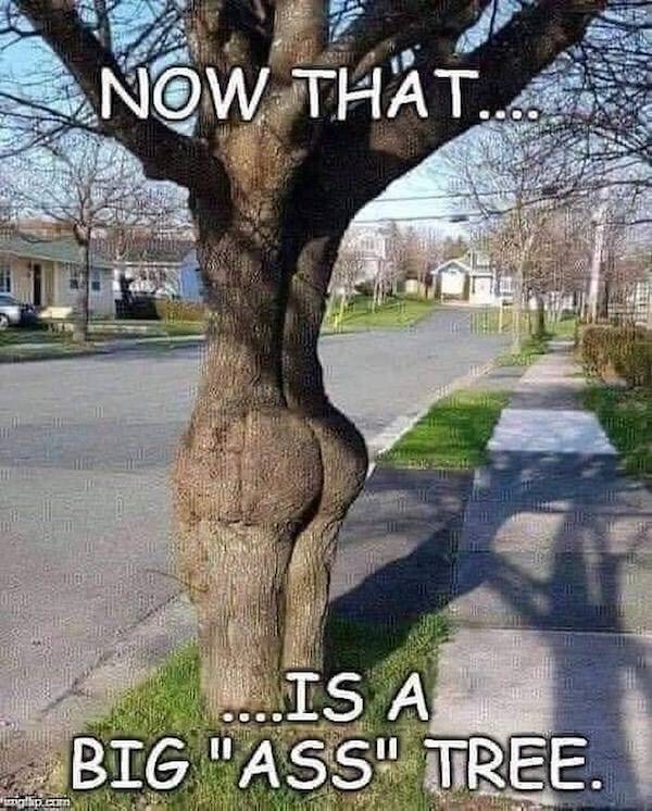 Come, It’s Dirty In Here!