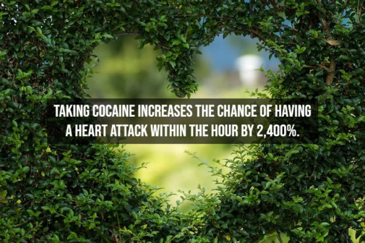 Illegal Facts About Cocaine