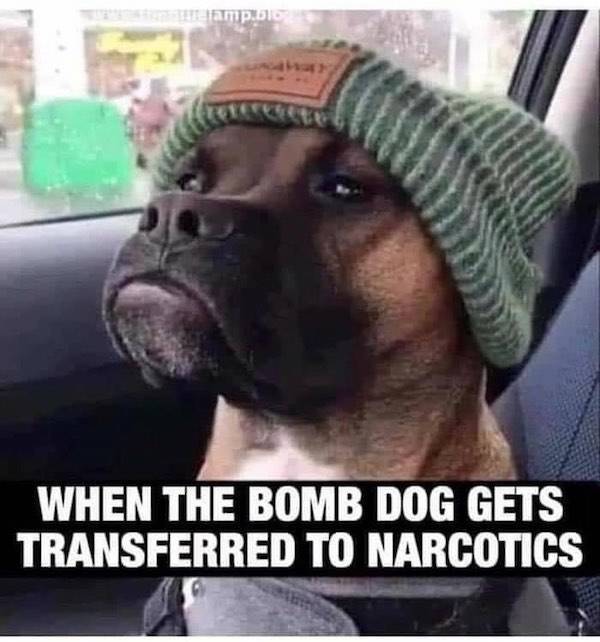 Your Girlfriend Won’t Like These Memes