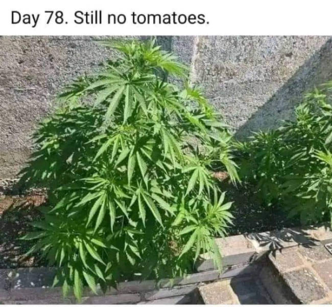 How Dirty Is Your Mind?