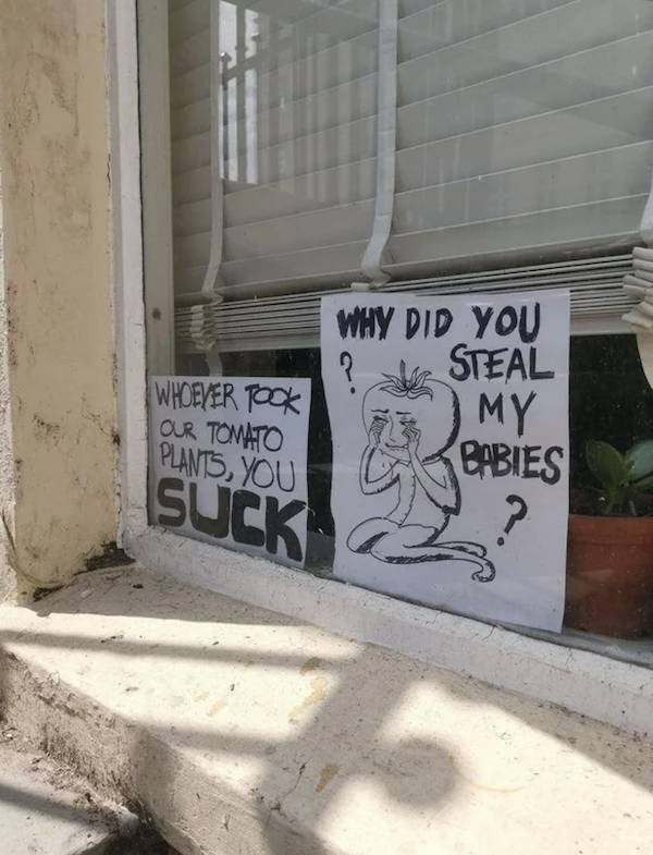 That’s Really Trashy…