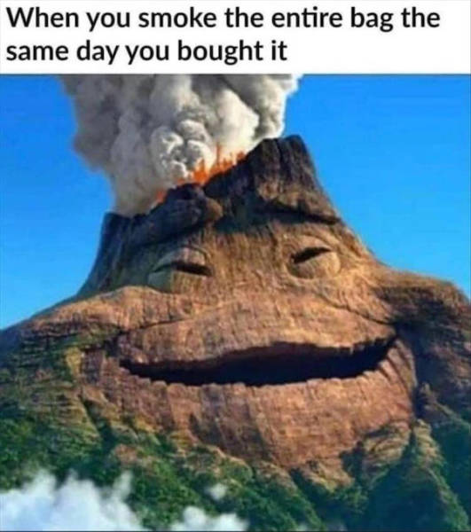 Are You High Enough For These Memes?