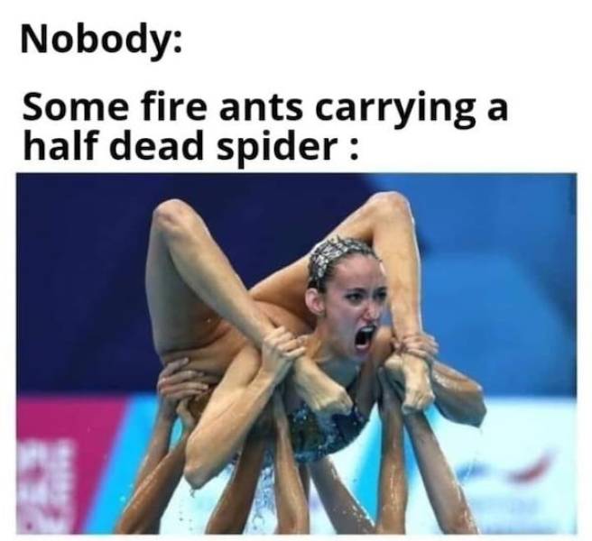 Feed The Dirty Mind!