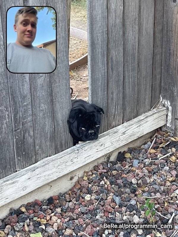 Filming Some Wild Stuff…