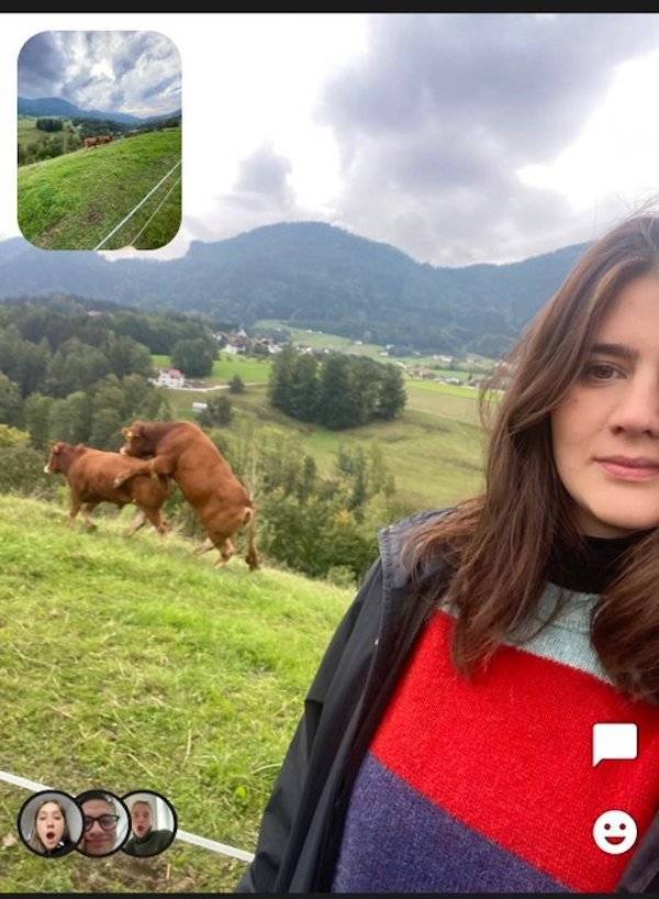 Filming Some Wild Stuff…