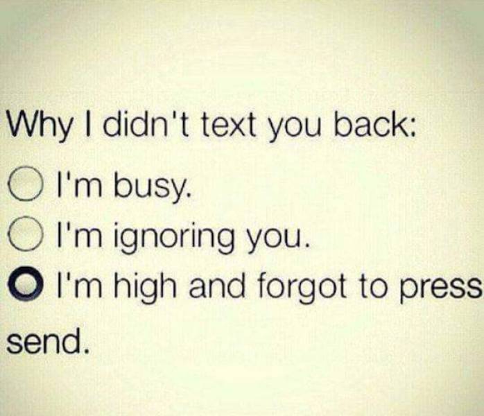 These Stoner Memes Are Already High…