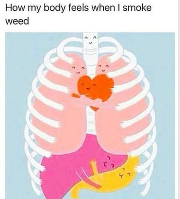These Stoner Memes Are Already High…