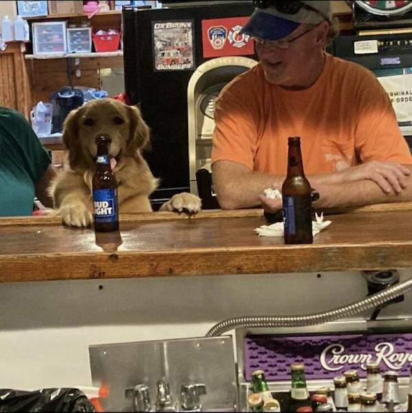 Drinking Never Ends…