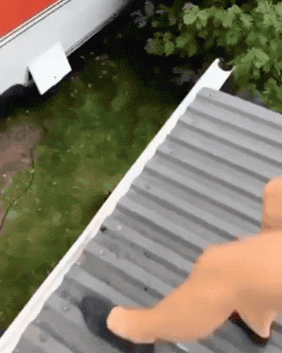 Drinking Never Ends…