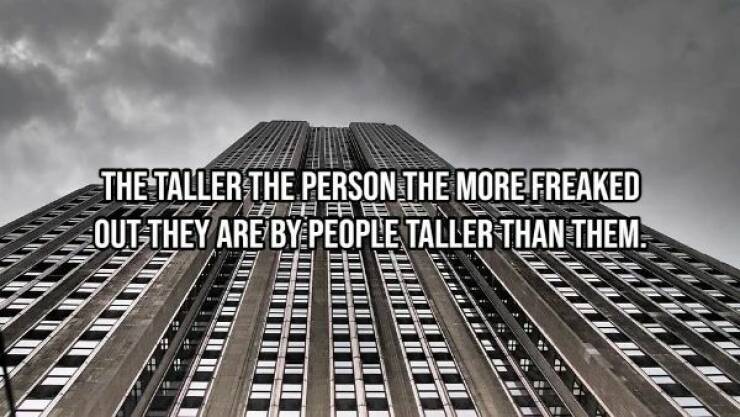 These Shower Thoughts Are Really Confusing…