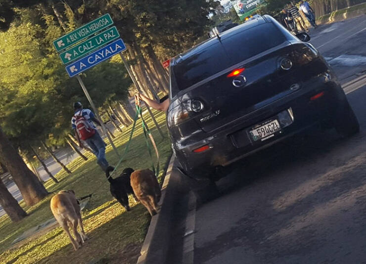 When Laziness Goes Too Far…