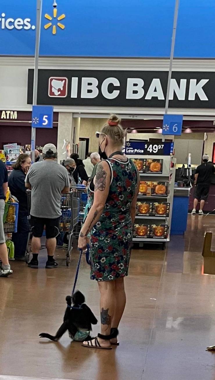 “Walmart” Customers Are Wild…