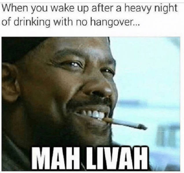 These Memes Are Already Drunk…
