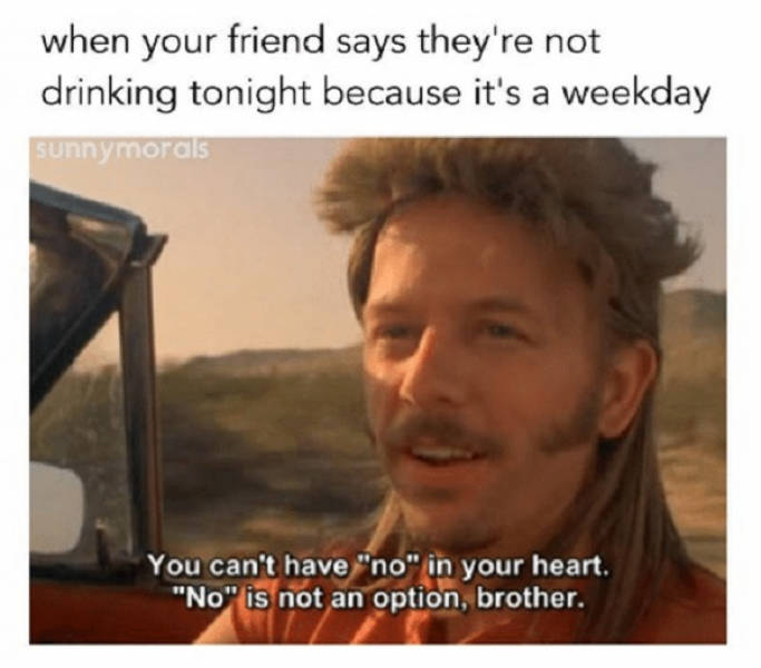 These Memes Are Already Drunk…