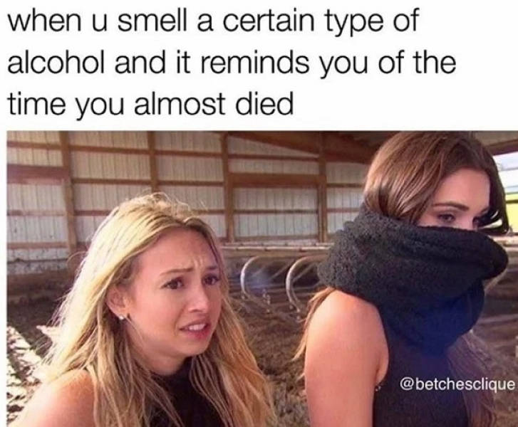 These Memes Are Already Drunk…