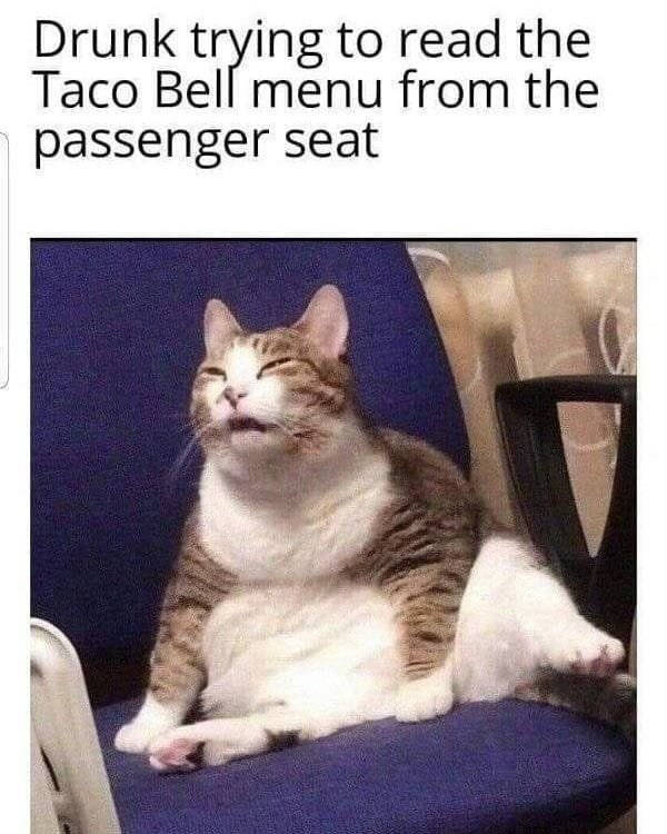 These Memes Are Already Drunk…