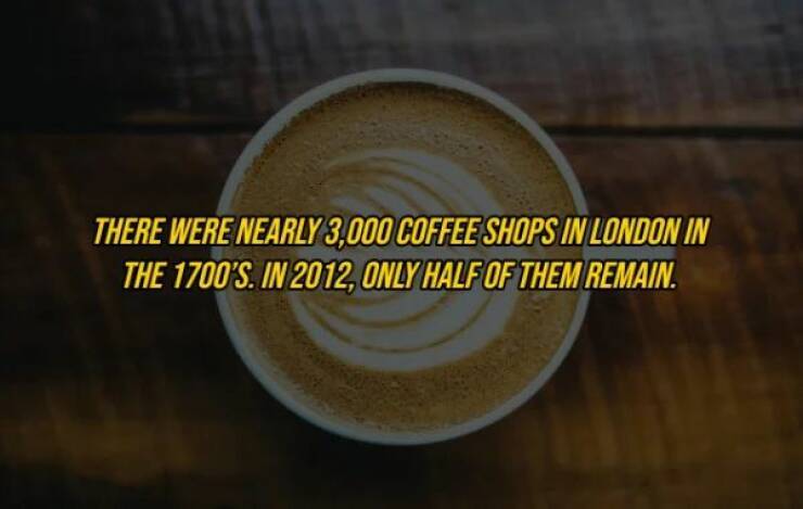 Plunge Into The Pool Of Random Knowledge