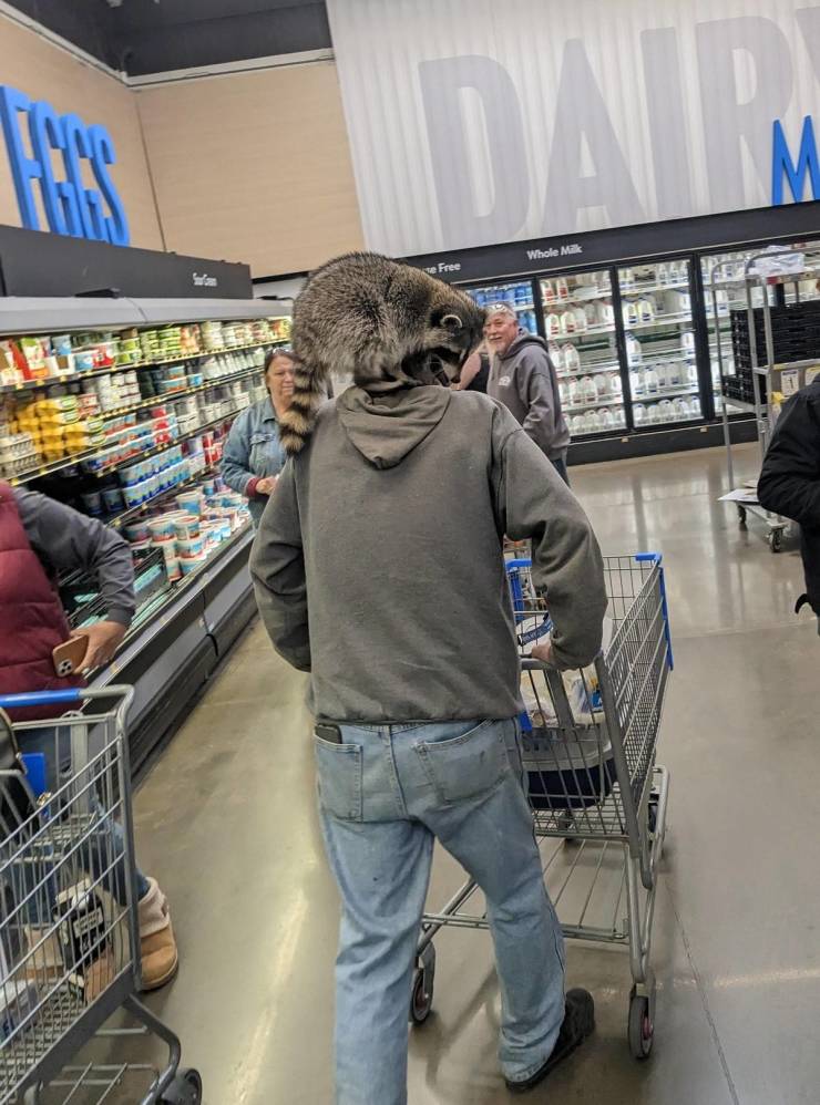 What’s Going On At “Walmart”?!