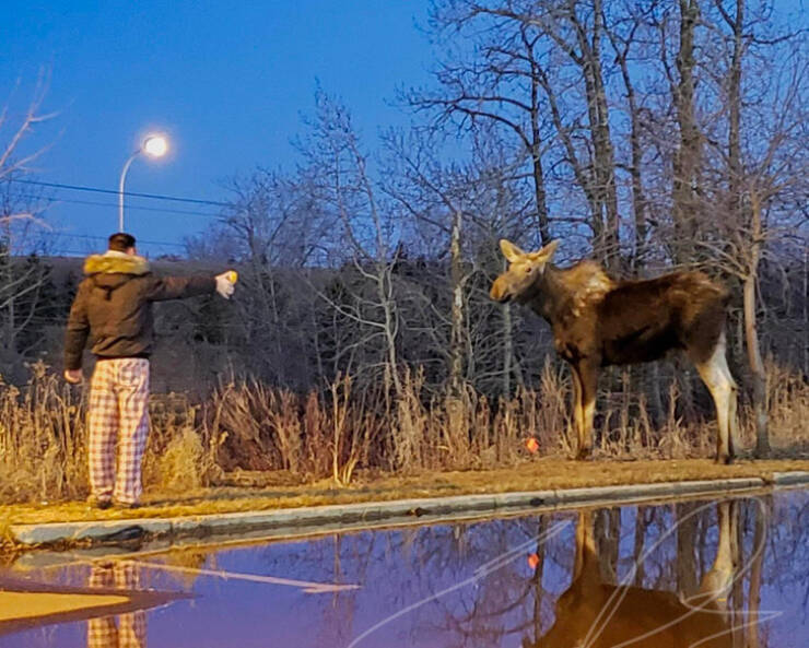 Surprise! Uncommon And Astonishing Photos Of The Unexpected