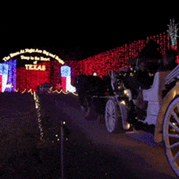 The Most NSFW Things Spotted In Public