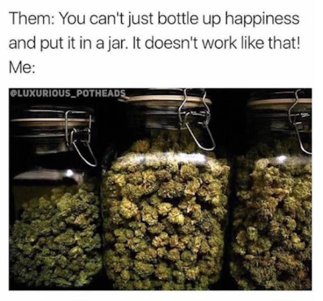 These Stoner Memes Are Already High…