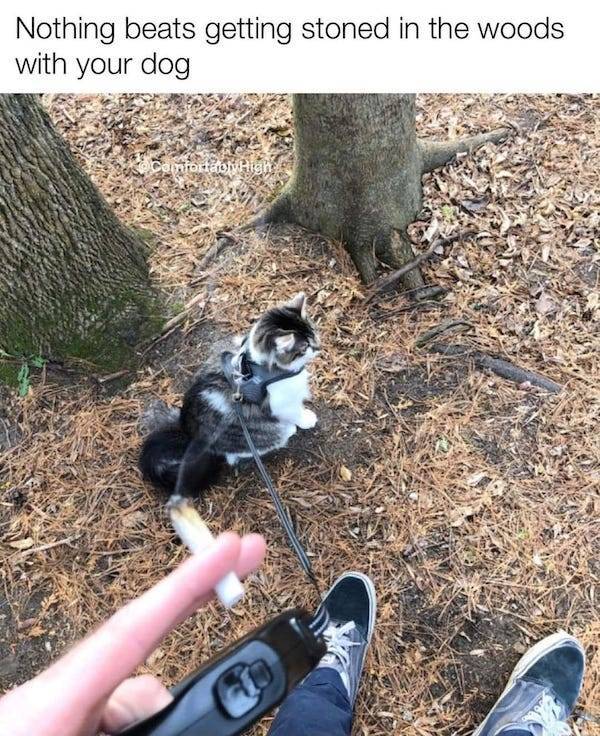 These Stoner Memes Are Already High…