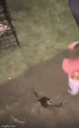 Drinking Never Ends…