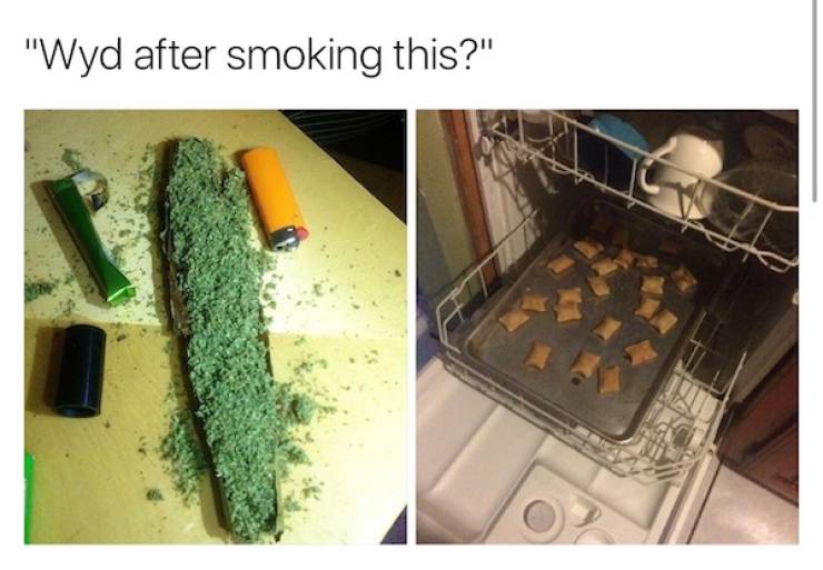 These Stoner Memes Are Already High…