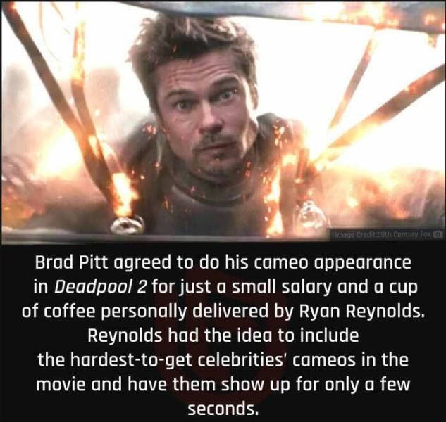 Get Your Mind Blown: The Most Incredible Facts You