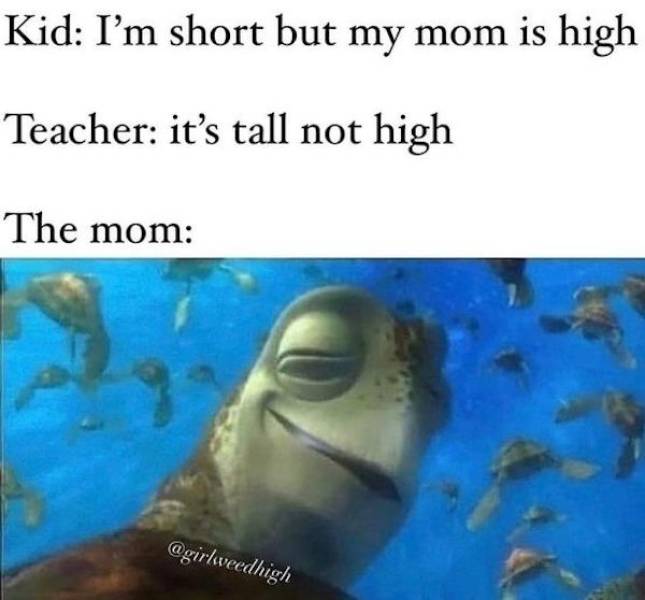 These Memes Are Already Stoned