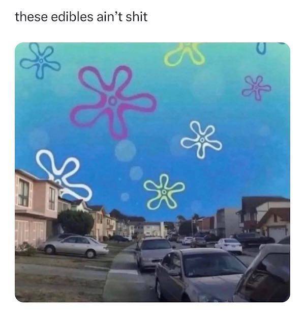 These Memes Are Already Stoned