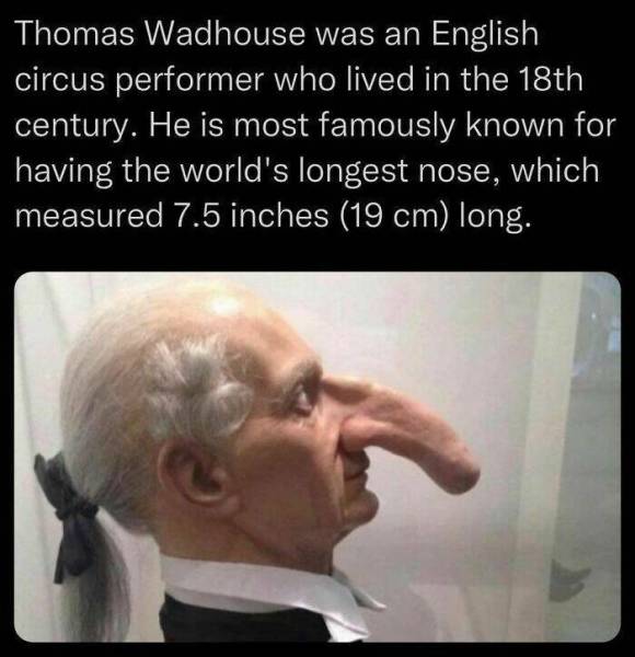 Fascinating Fun Facts That Were Left Out Of The Classroom