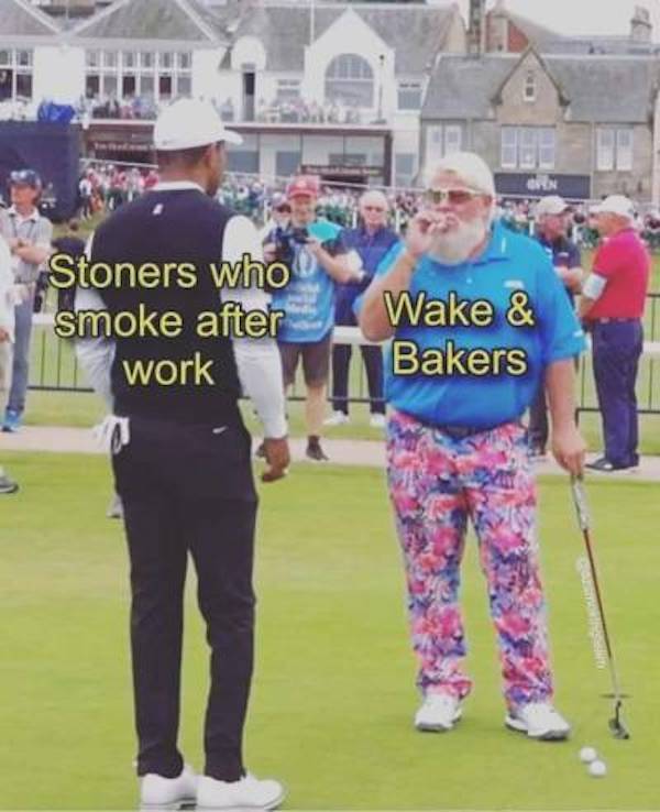 These Stoner Memes Are Already High…