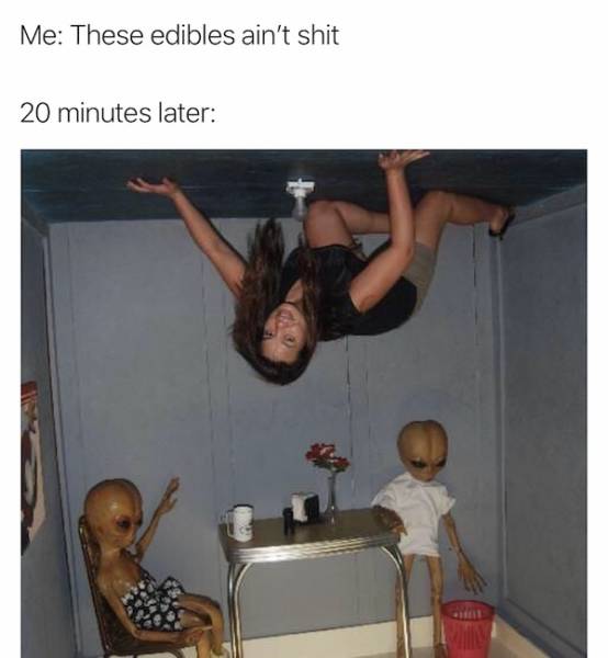 Memes That Perfectly Capture The Stoner Experience