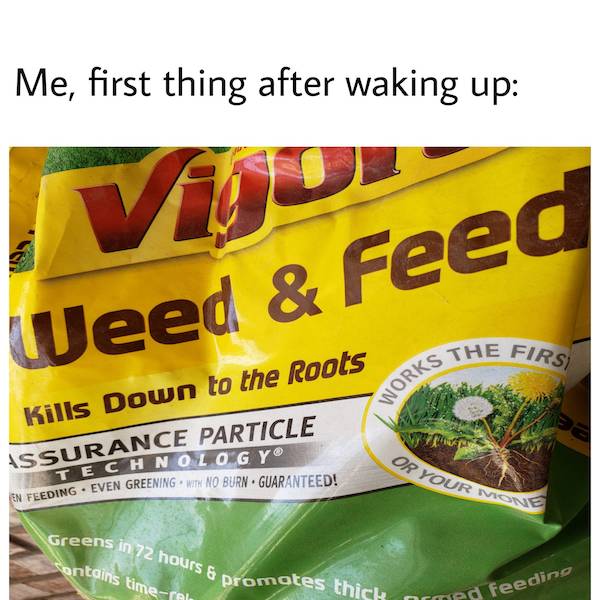 Memes That Perfectly Capture The Stoner Experience