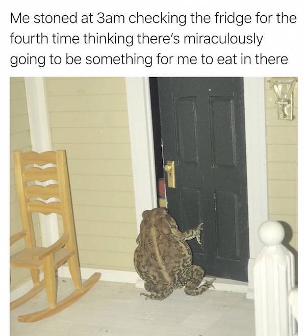 Memes That Perfectly Capture The Stoner Experience