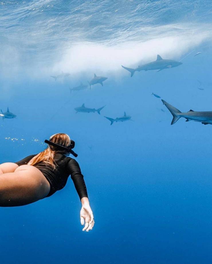 The Sexiest Volleyball Player In The World