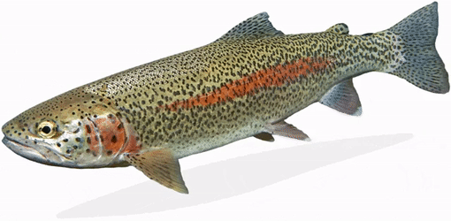 Fascinating Sex Facts From Every Corner