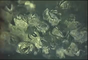 Fascinating Sex Facts From Every Corner