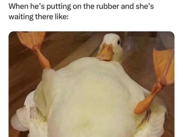 Dirty Mind, Come Here!