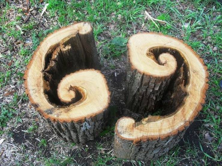 Dirty Mind, Come Here!