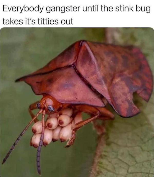 Dirty Mind, Come Here!