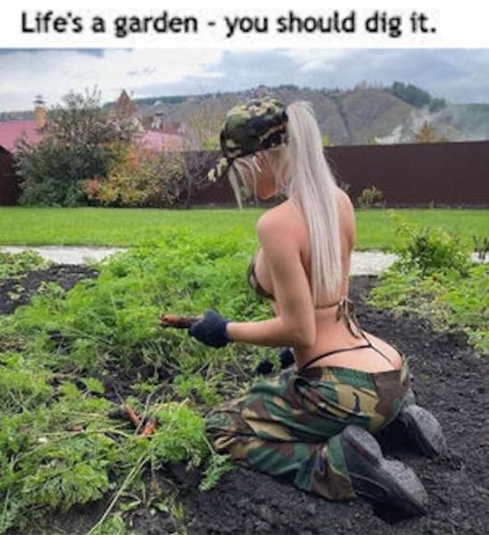 NSFW Humor: Indulge Your Mischievous Side With These Memes