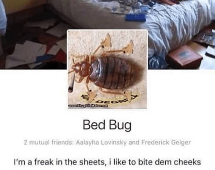 Risque Realities: Unveiling The Strangest NSFW Facts