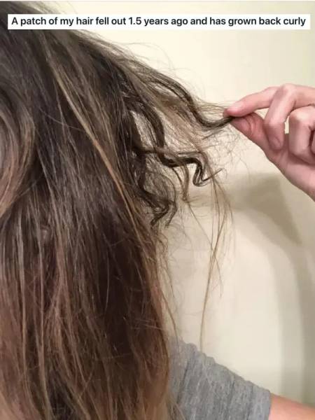 Incredible Anatomy: Exploring The Untamed Marvels Of The Human Body