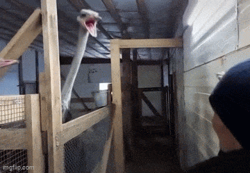 Dirty Mind, Come Here!