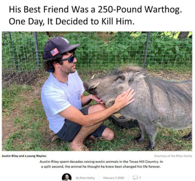 Hold On A Damn Minute!