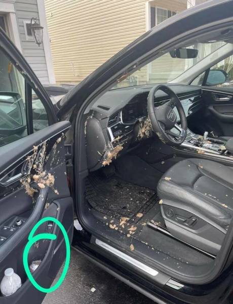 Day In Distress: Tales Of People Battling The Bad