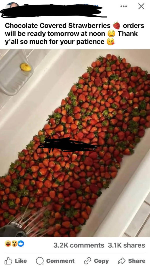 Hold On A Damn Minute!